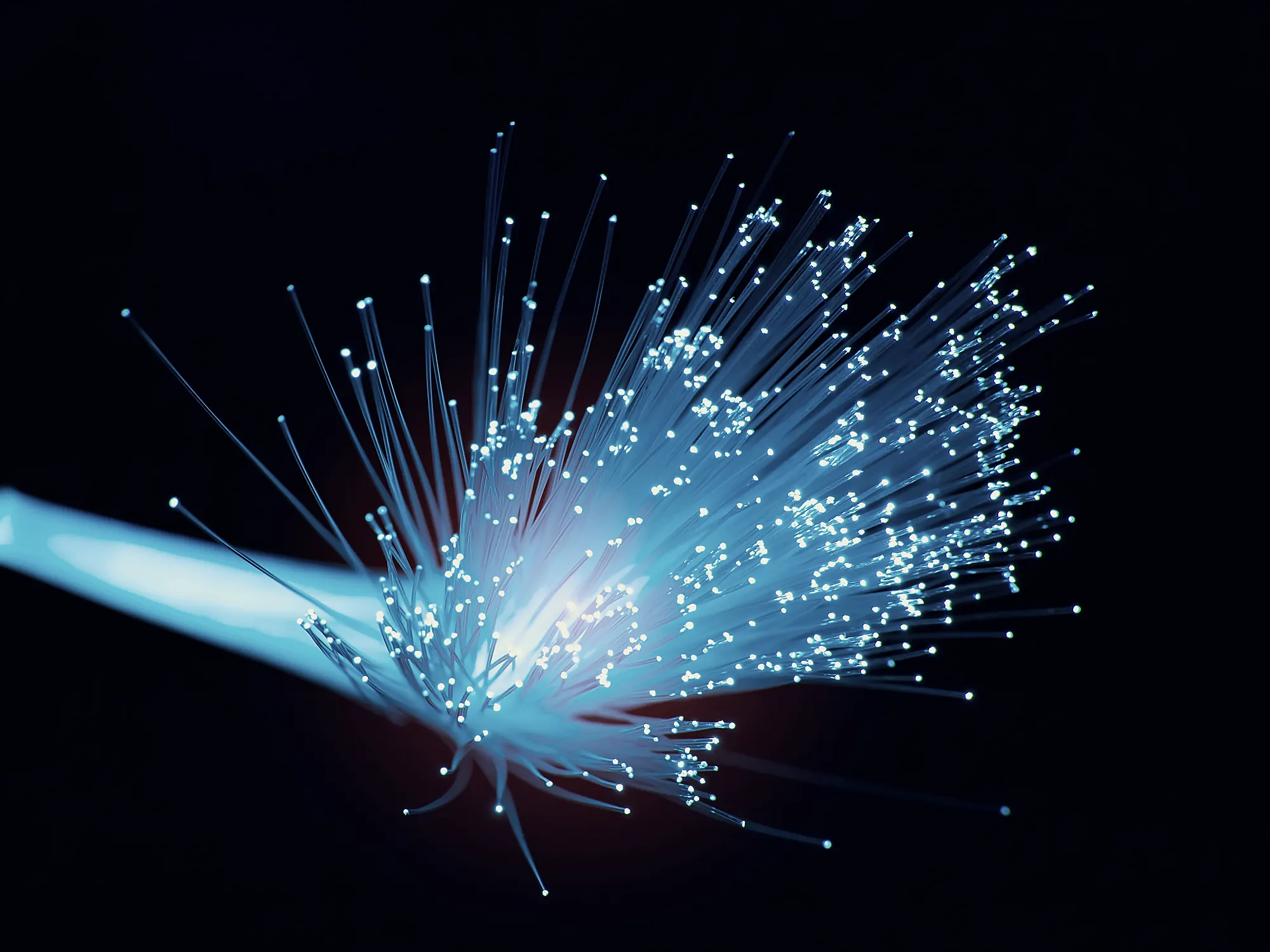 A fibre-optic bundle carrying light, filaments fanning out.